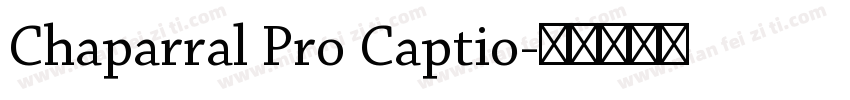 Chaparral Pro Captio字体转换